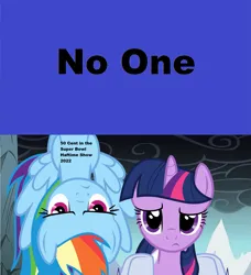 Size: 1919x2105 | Tagged: safe, derpibooru import, rainbow dash, twilight sparkle, pegasus, pony, unicorn, dragonshy, american football, image, meme, png, sports, super bowl, upside down