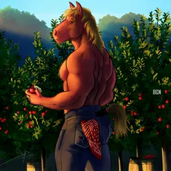 Size: 1300x1300 | Tagged: safe, artist:bgn, derpibooru import, big macintosh, anthro, horse, afternoon, apple, back muscles, big backintosh, butt, clothes, food, handkerchief, hoers, image, jpeg, looking at you, male, muscles, muscular male, nipples, nudity, pants, partial nudity, pecs, standing, topless