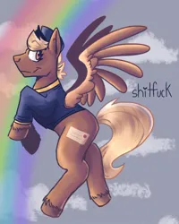 Size: 1080x1350 | Tagged: safe, artist:stormglory, derpibooru import, oc, oc:shitfuck, pegasus, pony, blonde, clothes, cloud, female, flying, forced meme, hat, image, jpeg, mare, meme, rainbow, sky background, smiling, spread wings, telegram pony, text, uniform, vulgar, wings