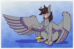 Size: 1772x1181 | Tagged: safe, artist:inuhoshi-to-darkpen, derpibooru import, oc, oc:luxor, unofficial characters only, classical hippogriff, hippogriff, chest fluff, cute, fluffy, image, looking at you, ocbetes, png, sitting, smiling, smiling at you, solo, spread wings, unshorn fetlocks, wing fluff, wings