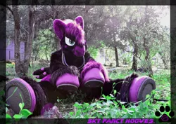 Size: 1280x908 | Tagged: safe, artist:ino89777, derpibooru import, oc, oc:sky fancy hooves, unofficial characters only, coat markings, forest, fursuit, horse collar, image, irl, jpeg, photo, ponysuit, sitting, solo, spread legs, spreading, text, tree, underhoof
