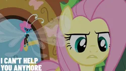 Size: 2000x1125 | Tagged: safe, derpibooru import, edit, edited screencap, editor:quoterific, screencap, fluttershy, seabreeze, breezie, it ain't easy being breezies, image, png