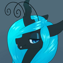 Size: 800x800 | Tagged: safe, artist:renabu, derpibooru import, oc, oc:queen fylifa, unofficial characters only, changeling, animated, blue changeling, bust, changeling oc, female, gif, icon, image, portrait, solo, talking to viewer