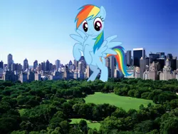 Size: 1600x1200 | Tagged: safe, artist:kishmond, artist:theotterpony, derpibooru import, rainbow dash, pegasus, pony, bipedal, female, giant pony, giantess, highrise ponies, image, irl, jpeg, macro, mare, new york, photo, ponies in real life, solo, spread wings, story in the source, wings
