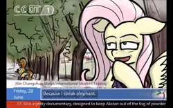 Size: 800x500 | Tagged: safe, alternate version, artist:china consists of them!, derpibooru import, fluttershy, pegasus, pony, cctv, chinese meme, female, image, interview, jpeg, mare, meme, news, translation, tree