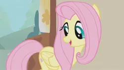 Size: 1920x1080 | Tagged: safe, derpibooru import, screencap, fluttershy, pegasus, swarm of the century, image, jpeg, open mouth, solo