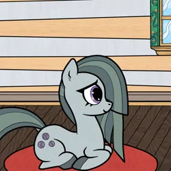 Size: 1800x1800 | Tagged: safe, artist:anonymous, marble pie, earth pony, pony, female, gray coat, gray mane, gray tail, image, indoors, looking forward, lying down, mare, png, purple eyes, rug, side view, smiling, solo, two toned mane, two toned tail, window