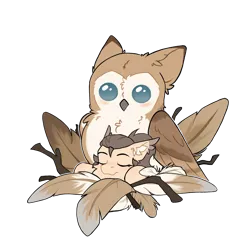 Size: 2048x2048 | Tagged: safe, artist:dorkmark, derpibooru import, oc, oc:dima, bird, owl, pegasus, pony, feather, image, nest, png, relaxing, sleeping, stick