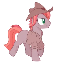 Size: 1280x1280 | Tagged: safe, artist:pinklem0nadepunk, derpibooru import, oc, unofficial characters only, earth pony, pony, base used, clothes, cowboy hat, hat, image, male, offspring, outline, parent:big macintosh, parent:maud pie, parents:macinmaud, png, shirt, simple background, smiling, stallion, transparent background, white outline