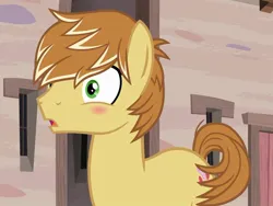Size: 1179x887 | Tagged: safe, derpibooru import, screencap, feather bangs, earth pony, pony, hard to say anything, blushing, cropped, cute, image, jpeg, male, open mouth, solo, stallion