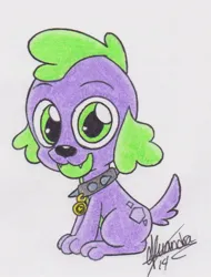 Size: 794x1042 | Tagged: safe, artist:rhythm-is-best-pony, derpibooru import, spike, dog, equestria girls, collar, image, jpeg, solo, spike the dog, spiked collar, traditional art