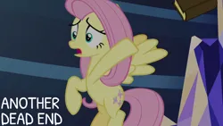Size: 1920x1080 | Tagged: safe, derpibooru import, edit, edited screencap, editor:quoterific, screencap, fluttershy, a health of information, image, png, solo