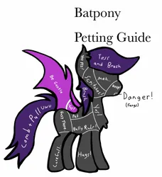 Size: 1414x1548 | Tagged: safe, artist:lostbrony, derpibooru import, bat pony, colored, flat colors, image, jpeg, meme, petting guide, simple background, text