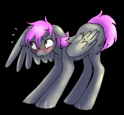 Size: 1280x1192 | Tagged: safe, artist:ketzel99, artist:ketzelfeathers, derpibooru import, oc, oc:crash dive, unofficial characters only, pegasus, pony, black background, blushing, hiding, hiding behind wing, image, jpeg, nervous, red face, scar, simple background, solo, wings