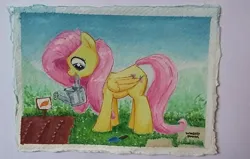 Size: 1096x696 | Tagged: safe, artist:whiskeypanda, derpibooru import, fluttershy, pegasus, pony, daytime, garden, gouache, image, mouth hold, outdoors, png, sign, signature, solo, traditional art, trowel, vegetables, watering can
