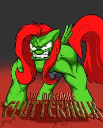 Size: 1000x1238 | Tagged: safe, artist:kenichi-shinigami, derpibooru import, fluttershy, crossover, image, jpeg, marvel, the incredible hulk