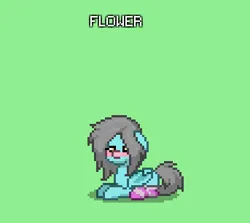 Size: 343x306 | Tagged: safe, derpibooru import, oc, oc:flower popen, bat pony, pony, robot, pony town, blushing, clothes, female, image, mare, png, sitting, socks, solo, striped socks