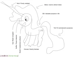 Size: 502x389 | Tagged: safe, artist:anonymous, derpibooru import, oc, oc:contard, unofficial characters only, pony, unicorn, /mlp/, /mlp/ con, 4chan, female, horn, image, labels, lineart, mare, monochrome, png, reference sheet, simple background, sketch, text, unicorn oc, vector, vestigial horn, white background