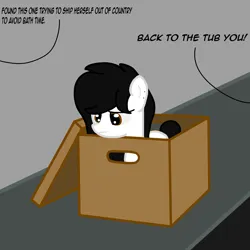 Size: 3000x3000 | Tagged: safe, artist:bright skie, derpibooru import, oc, oc:bright skie, unofficial characters only, pony, black mane, box, image, offscreen character, png, pony in a box, small, smol, solo