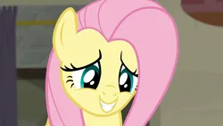 Size: 1920x1080 | Tagged: safe, derpibooru import, screencap, fluttershy, pegasus, pony, season 6, the saddle row review, 1080p, cute, female, happy, image, mare, png, shyabetes, smiling, solo