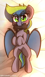 Size: 2100x3630 | Tagged: safe, artist:perezadotarts, derpibooru import, oc, oc:indigo gambit, unofficial characters only, bat pony, pony, anatomically correct, bat pony oc, bat wings, bed, body pillow, body pillow design, fangs, image, looking at you, lying down, nudity, on back, plushie, png, simple background, smiling, solo, spread wings, text, vulva, wings
