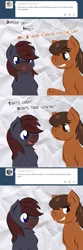 Size: 720x2178 | Tagged: safe, artist:jitterbug-cafe, derpibooru import, oc, oc:dusty (jitterbug-cafe), oc:raggedy, pegasus, pony, image, male, png, stallion, tumblr:jitterbug cafe