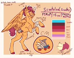 Size: 2048x1606 | Tagged: safe, alternate version, artist:ask-trans-scoots, derpibooru import, scootaloo, pegasus, pony, alternate cutie mark, bandage, dyed mane, ear piercing, english, image, jpeg, male, piercing, reference sheet, rule 63, scar, scooteroll, self harm, self harm scars, smiling, solo, standing on two hooves, teenager, trans male, transgender, tumblr:ask trans scootaloo, wings