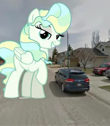 Size: 1787x2048 | Tagged: safe, derpibooru import, vapor trail, pegasus, pony, building, canada, car, city, house, image, irl, jpeg, macro, overcast, photo, ponies in real life, tree, van, vector