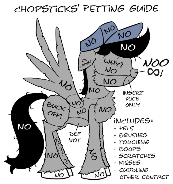 Size: 1850x1967 | Tagged: safe, artist:chopsticks, derpibooru import, oc, oc:chopsticks, unofficial characters only, pegasus, pony, anatomy guide, cheek fluff, chest fluff, cuddling, hat, image, infinity, male, no, non-consensual booping, non-consensual cuddling, petting, petting guide, png, silhouette, simple background, solo, spread wings, stallion, standing, text, unshorn fetlocks, white background, wings