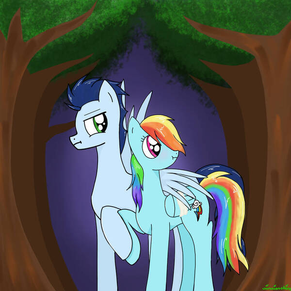 Size: 894x894 | Tagged: safe, artist:vinviasshine, derpibooru import, rainbow dash, soarin', pegasus, pony, everfree forest, female, image, jpeg, male, mare, shipping, soarindash, stallion, straight