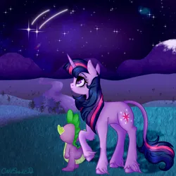 Size: 2500x2500 | Tagged: safe, artist:cakeshake22, derpibooru import, spike, twilight sparkle, dragon, pony, unicorn, duo, female, image, leonine tail, male, night, png, shooting star, stargazing, tail, unicorn twilight, unshorn fetlocks