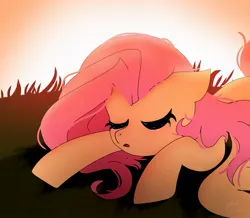 Size: 1511x1316 | Tagged: safe, artist:petaltwinkle, derpibooru import, fluttershy, pegasus, pony, cute, eyes closed, female, image, jpeg, mare, shyabetes, sleeping, solo, sunset