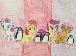 Size: 1280x940 | Tagged: safe, derpibooru import, apple bloom, babs seed, scootaloo, sweetie belle, bird, earth pony, pegasus, penguin, pony, unicorn, crossover, cutie mark crusaders, image, jpeg, kowalski, private (madagascar), rico, skipper, the penguins of madagascar, traditional art