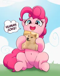 Size: 951x1200 | Tagged: safe, artist:pabbley, derpibooru import, pinkie pie, dog, earth pony, pony, shiba inu, belly button, cute, diapinkes, doge, female, hoof hold, image, jpeg, looking at you, mare, meme, open mouth, open smile, sitting, smiling, smiling at you, solo, speech bubble, talking to viewer
