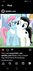 Size: 720x1520 | Tagged: safe, artist:tankman, derpibooru import, oc, oc:spades ace, oc:water lilly, unofficial characters only, earth pony, pony, black mane, black tail, blue body, blue eyes, blue skin, description, duo, duo female, female, happy, image, instagram, light skin, pink mane, pink tail, png, profile, smiling, tail, white body