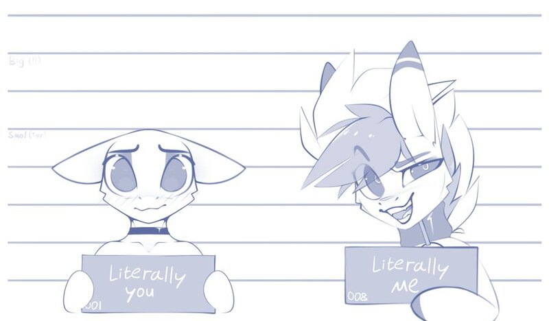 Size: 900x526 | Tagged: safe, artist:justafallingstar, derpibooru import, oc, oc:vibrant star, unofficial characters only, pony, barbie mugshot meme, collar, holding sign, image, jpeg, meme, mugshot, random pony, smiling, smirk, text