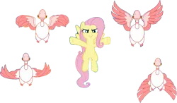 Size: 1169x683 | Tagged: safe, artist:pascalmulokozi2, derpibooru import, edit, edited screencap, screencap, fluttershy, bird, flamingo, pegasus, pony, the ending of the end, female, flying, image, mare, not a vector, png, simple background, solo, transparent background
