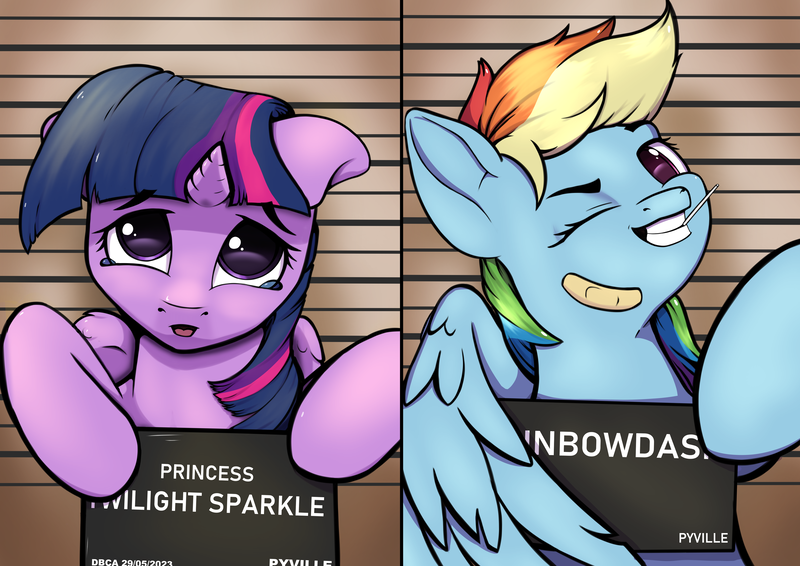 Size: 3508x2480 | Tagged: safe, artist:db, derpibooru import, rainbow dash, twilight sparkle, twilight sparkle (alicorn), alicorn, pegasus, bandaid, barbie mugshot meme, candy, food, grin, image, lollipop, meme, mugshot, one eye closed, png, smiling, teary eyes, wink