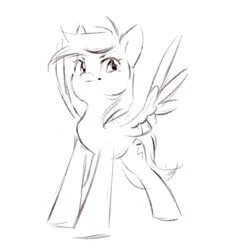 Size: 775x858 | Tagged: safe, artist:melodylibris, derpibooru import, rainbow dash, pegasus, pony, black and white, female, grayscale, image, mare, monochrome, png, simple background, sketch, solo, spread wings, white background, wings