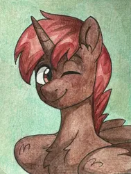Size: 2343x3105 | Tagged: safe, artist:skysorbett, derpibooru import, oc, oc:hardy, alicorn, pony, bust, chest fluff, ear fluff, image, jpeg, looking at you, male, one eye closed, portrait, smiling, smiling at you, solo, stallion, traditional art, wink, winking at you