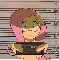 Size: 1461x1500 | Tagged: safe, artist:naquelinedelch2, derpibooru import, fluttershy, pegasus, pony, barbie mugshot meme, female, floppy ears, frown, hoof hold, image, jpeg, looking at you, mare, meme, mugshot, sad, solo