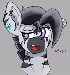 Size: 644x687 | Tagged: safe, artist:reddthebat, derpibooru import, oc, oc:zerø, unofficial characters only, pony, zebra, bust, confused, ear fluff, ear piercing, earring, eyebrows, gray background, image, jewelry, jpeg, male, open mouth, piercing, raised eyebrow, simple background, solo, stallion, zebra oc