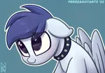 Size: 3200x2250 | Tagged: safe, artist:perezadotarts, derpibooru import, oc, oc:slipstream, pegasus, behaving like a dog, blue pony, boofy, collar, dilated pupils, floppy ears, image, png, simple background, solo, spiked collar