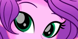 Size: 905x465 | Tagged: safe, artist:charliexe, derpibooru import, pipp petals, human, equestria girls, g5, adorapipp, close-up, cropped, cute, equestria girls-ified, extreme close up, female, g5 to equestria girls, generation leap, image, jpeg, solo, wip