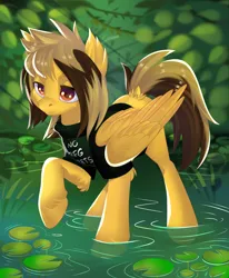 Size: 2800x3400 | Tagged: safe, artist:xvostik, derpibooru import, ponified, pegasus, pony, alex gaskarth, all time low, commission, dyed mane, dyed tail, ear fluff, folded wings, hoof fluff, image, lilypad, male, outdoors, png, pond, raised hoof, solo, stallion, standing, tail, tail feathers, water, wings, ych result