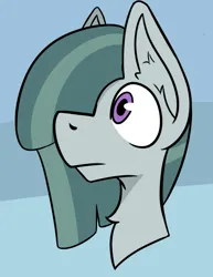 Size: 520x672 | Tagged: safe, artist:cotarsis, derpibooru import, marble pie, earth pony, pony, bust, image, png, solo