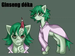 Size: 4000x3000 | Tagged: semi-grimdark, artist:sleepymist, derpibooru import, oc, unofficial characters only, demon, demon pony, earth pony, original species, clothes, coat, crossed hooves, earth pony oc, image, jpeg, reference sheet, solo