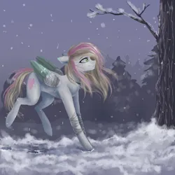 Size: 800x800 | Tagged: safe, artist:alicesmitt31, derpibooru import, oc, unofficial characters only, pegasus, pony, bandage, bandaged leg, colored wings, facial markings, female, image, mare, multicolored wings, pegasus oc, png, snow, snowfall, solo, tree, wings