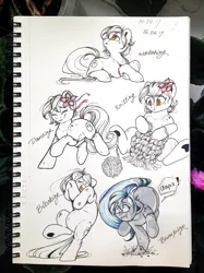 Size: 1280x1714 | Tagged: artist needed, source needed, safe, derpibooru import, oc, unofficial characters only, earth pony, pony, blocking, bump, dancing, earth pony oc, female, image, jpeg, knitting, looking up, lying down, prone, running, sitting, sketchbook, standing on two hooves, traditional art