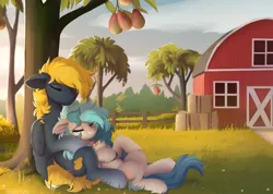 Size: 2486x1770 | Tagged: safe, artist:little-sketches, derpibooru import, oc, oc:osteen, oc:peacher, unofficial characters only, pegasus, pony, barn, collar, food, image, mango, pegasus oc, png, resting, tree, wings